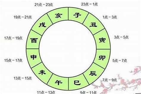 地支辰戌丑未|干支